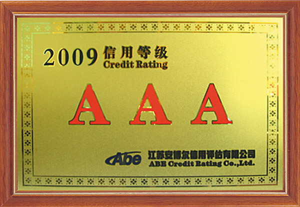 2009 credit rating 3A